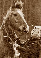 Inger Nilsson mit ihrem Pferd - von Sven Larsen -  Neue Post  1975