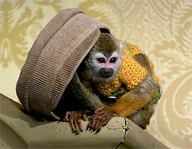 Herr Nilsson in der Villa Kunterbunt Herr Nilsson in der Villa Kunterbunt