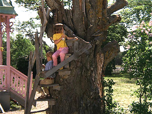 Limonadenbaum im Garten der Villa Kunterbunt Limonadenbaum im Garten der Villa Kunterbunt