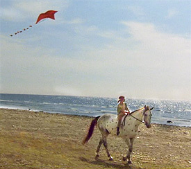 Mit dem Kleinen Onkel am Strand Mit dem Kleinen Onkel am Strand