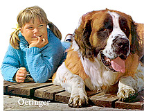 Ferien auf Saltkrokan Ferien auf Saltkrokan